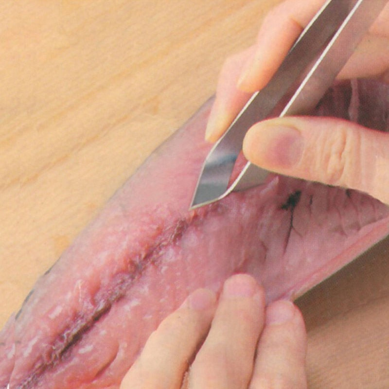 Fish Skin Brush Cleaner
