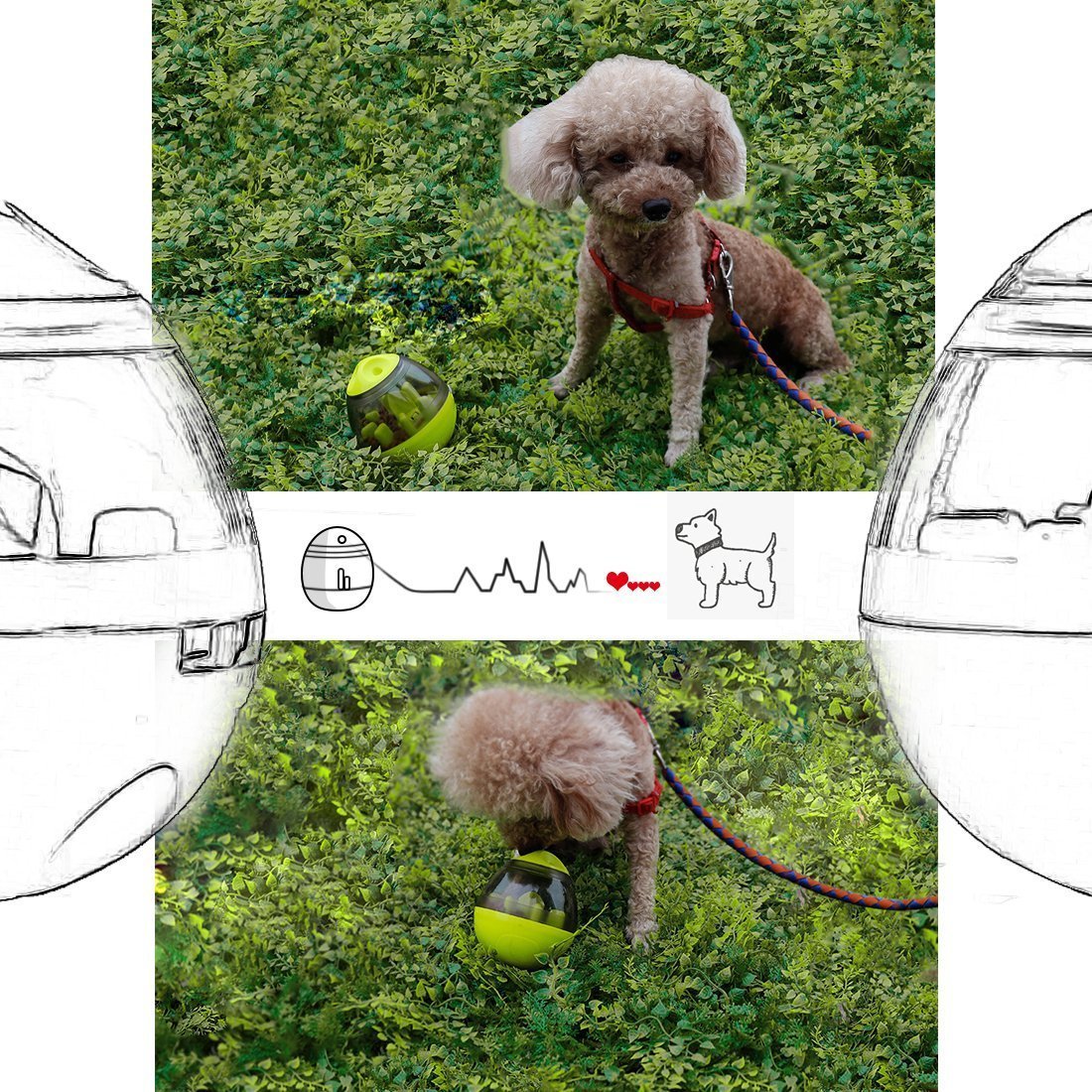 The Pet-Pal Interactive Ball Food Dispenser