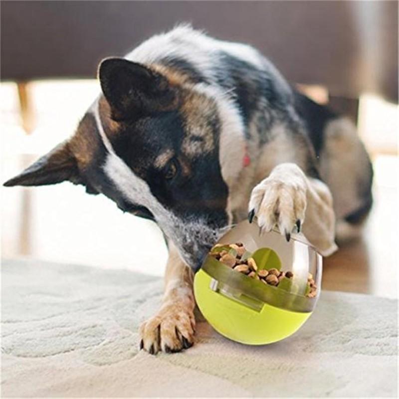 The Pet-Pal Interactive Ball Food Dispenser