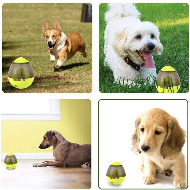The Pet-Pal Interactive Ball Food Dispenser