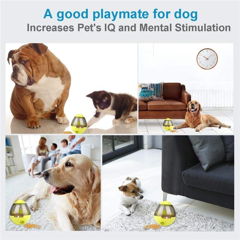 The Pet-Pal Interactive Ball Food Dispenser