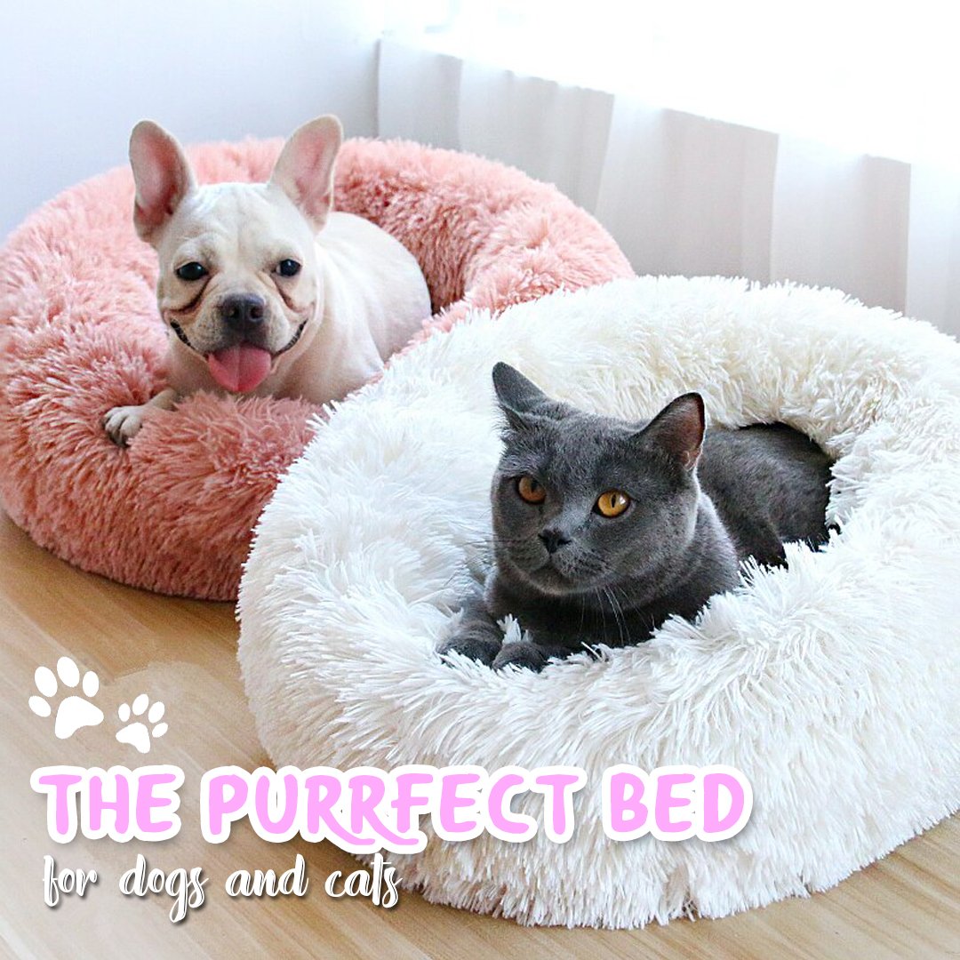 Round Fluffy Soft Dog Bed
