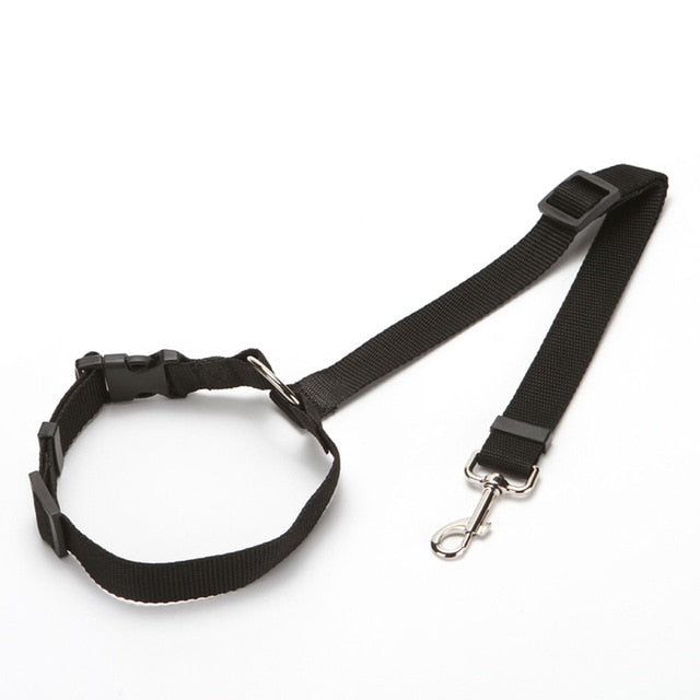 Car Seat Belt Leash For Dogs And Cats