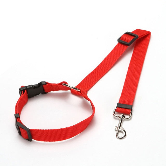 Car Seat Belt Leash For Dogs And Cats