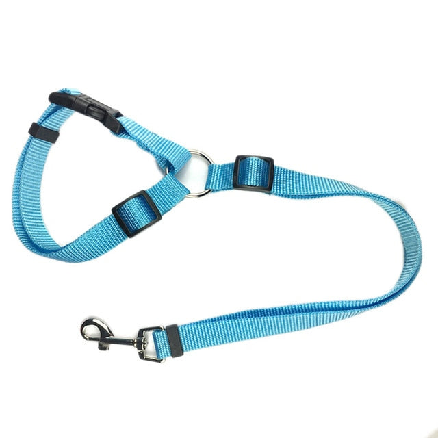 Car Seat Belt Leash For Dogs And Cats