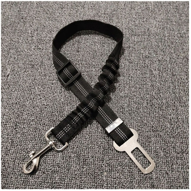 Car Seat Belt Leash For Dogs And Cats